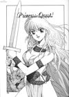 Princess Quest Saga - глава 4 обложка